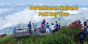 Doi Inthanon National Park Day Tour