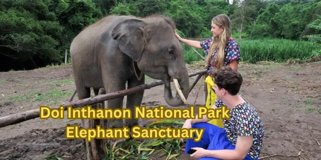 Doi Inthanon National Park Elephant Sanctuary