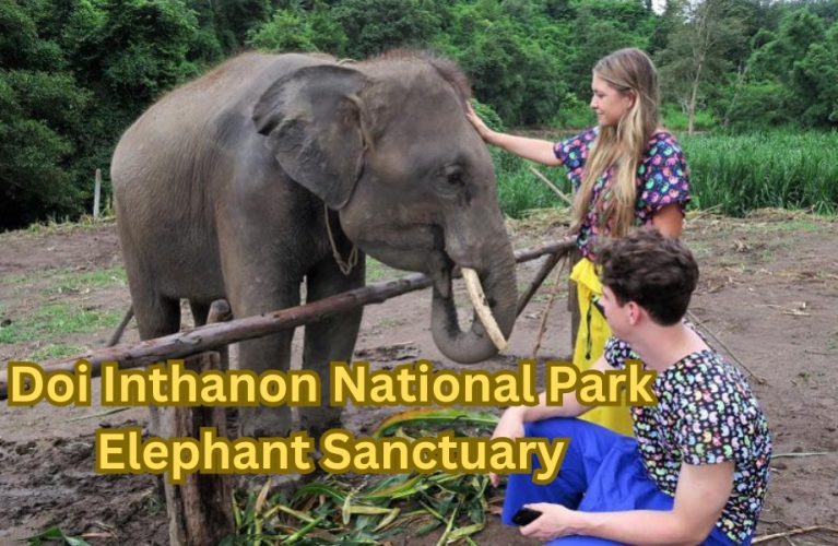 Doi Inthanon National Park Elephant Sanctuary