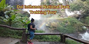 Doi Inthanon National Park Trekking Tour