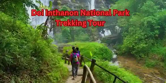 Doi Inthanon National Park Trekking Tour