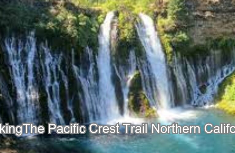 Hiking The Pacific Crest Trail Northern California