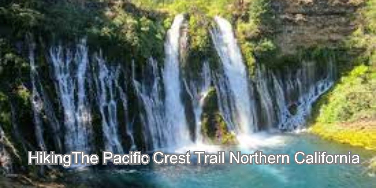 Hiking The Pacific Crest Trail In Northern California A Wilderness