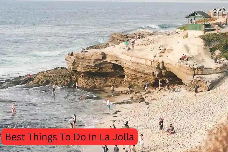 best things to do in la jolla