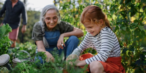 Gardening Company