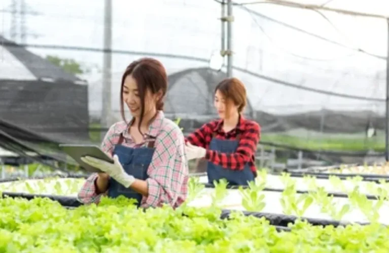 Gardening Company
