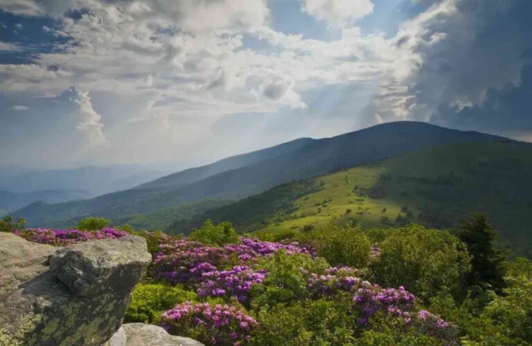 Maggards Mountain View Chapel