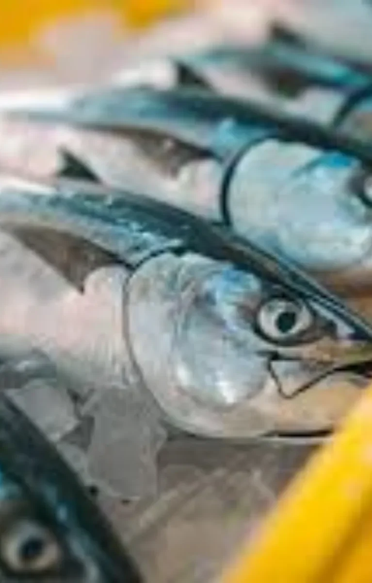 How It Compares United Fish Dubai With Local Suppliers