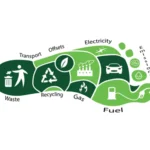 Must-Know-Facts-About-Carbon-Footprint-Calculators.webp